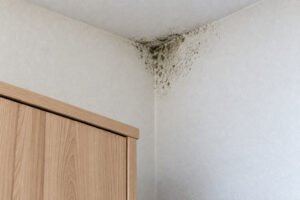 Dunkle Schimmelflecken in einer oberen Raumecke über einem Holzschrank