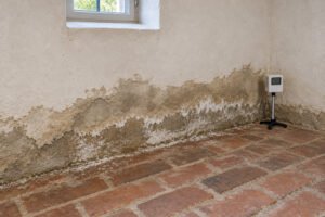 51 kachel wissen feuchteschutz